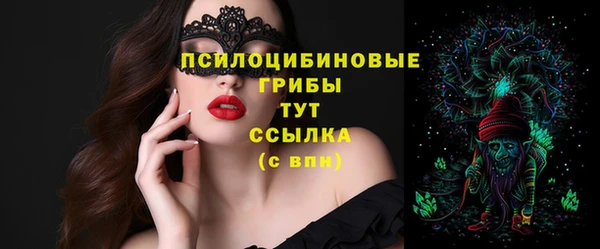 дурь Липки