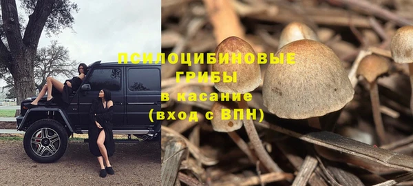 стафф Аркадак