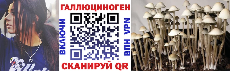Галлюциногенные грибы прущие грибы  Афипский 